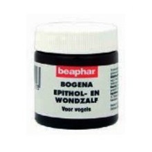 epithol (1) (1)